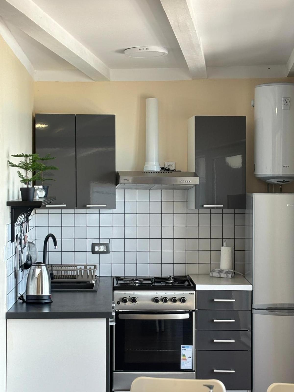 Apartmani Bosnjak 斯塔利格拉德-帕克利尼卡 客房 照片