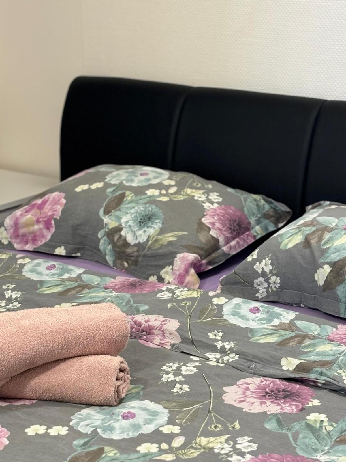 Apartmani Bosnjak 斯塔利格拉德-帕克利尼卡 客房 照片