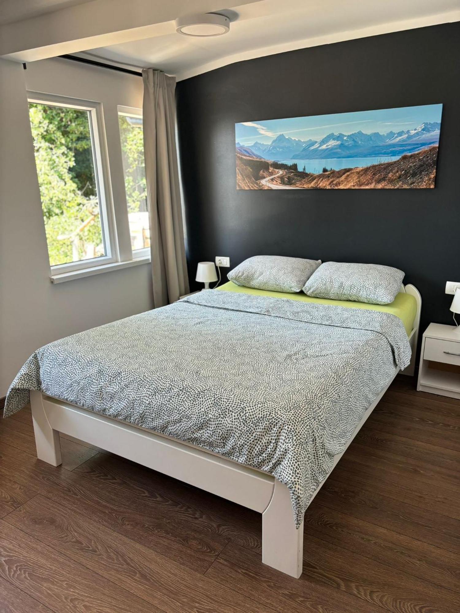 Apartmani Bosnjak 斯塔利格拉德-帕克利尼卡 客房 照片
